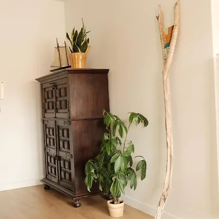 Cool & Cozy Flat Фурадору