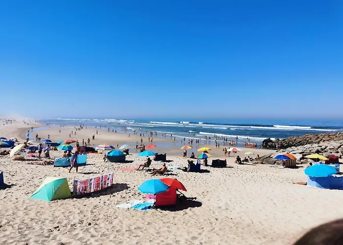 Cool & Cozy Flat Appartement