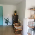 Cool & Cozy Flat