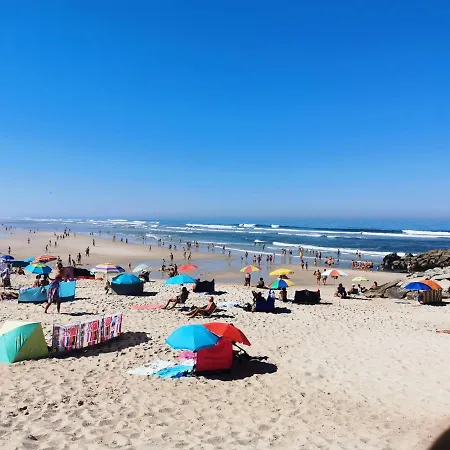 Cool & Cozy Flat 公寓