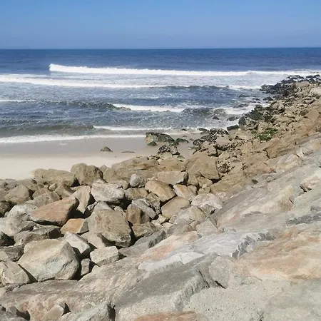 公寓 Cool & Cozy Flat