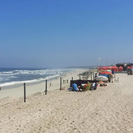 דירה Cool & Cozy Flat