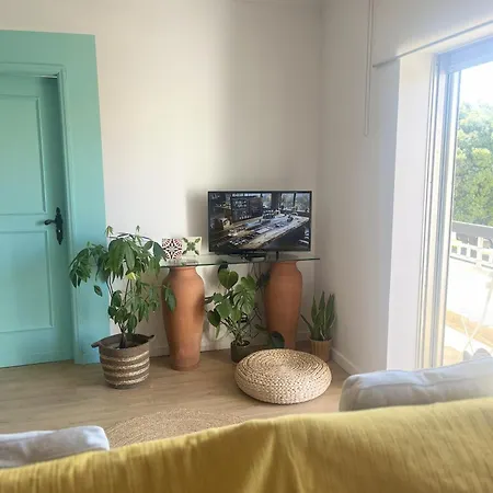 Cool & Cozy Flat Apartment