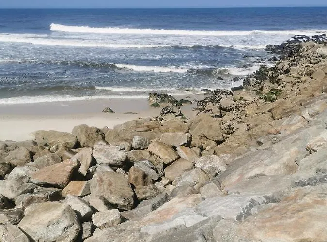 Апартаменты Cool & Cozy Flat