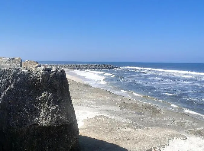 Cool & Cozy Flat Апартаменты *