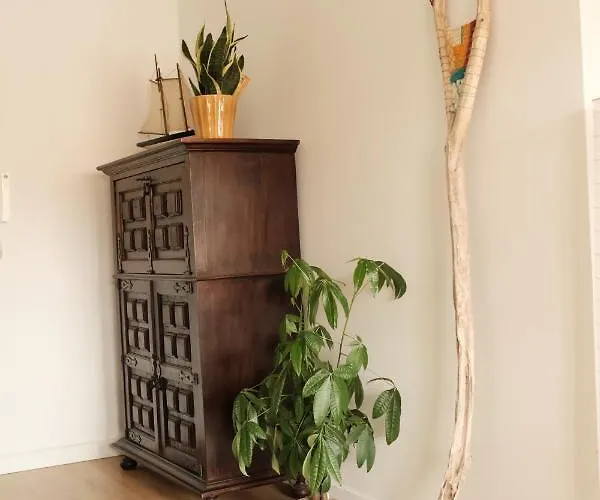 Cool & Cozy Flat Фурадору